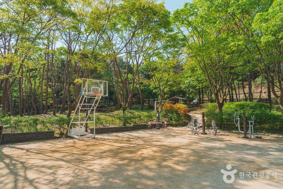 한솔근린공원 여행 추천 - 로드트립
