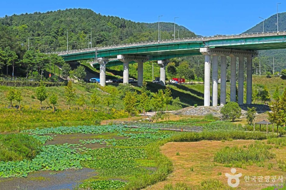 강변저류지 여행 추천 - 로드트립