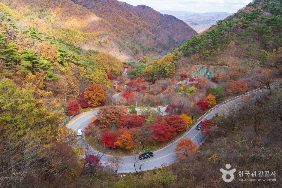 단양 보발재 여행 추천 - 로드트립