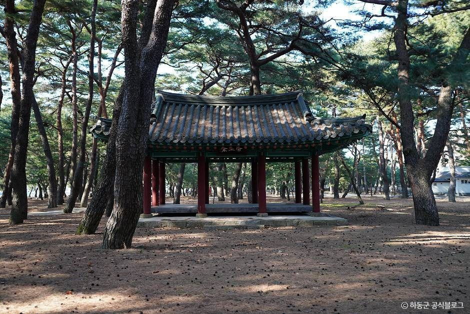 하동송림공원 여행 추천 - 로드트립