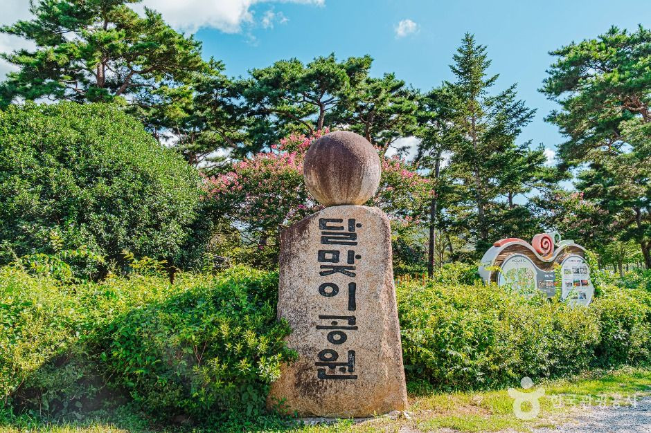달맞이공원 여행 추천 - 로드트립