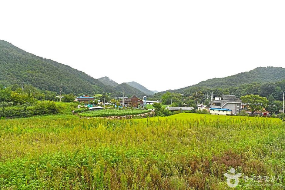 고천마을 여행 추천 - 로드트립