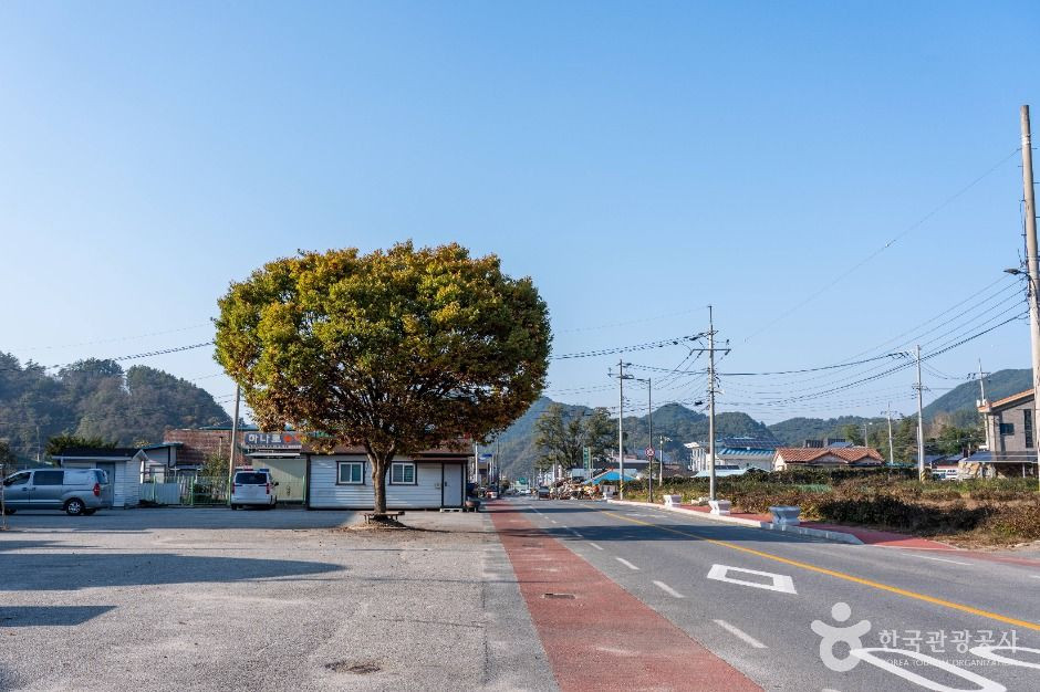 월악산 약초마을 여행 추천 - 로드트립