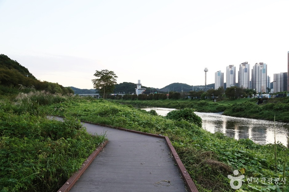 안양천 여행 추천 - 로드트립