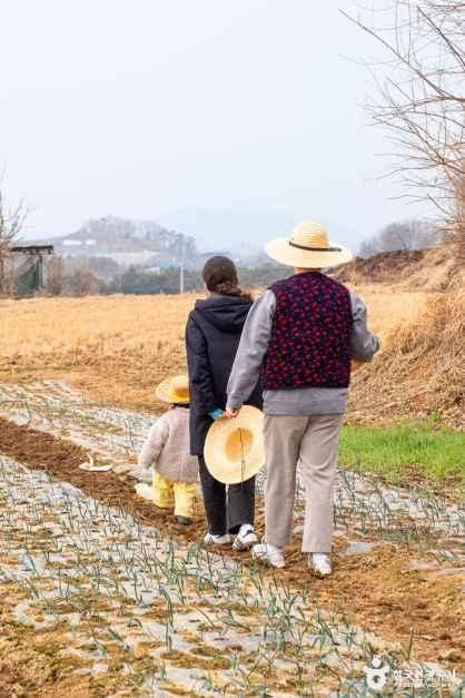 로렌츠감성치유시골체험 여행 추천 - 로드트립