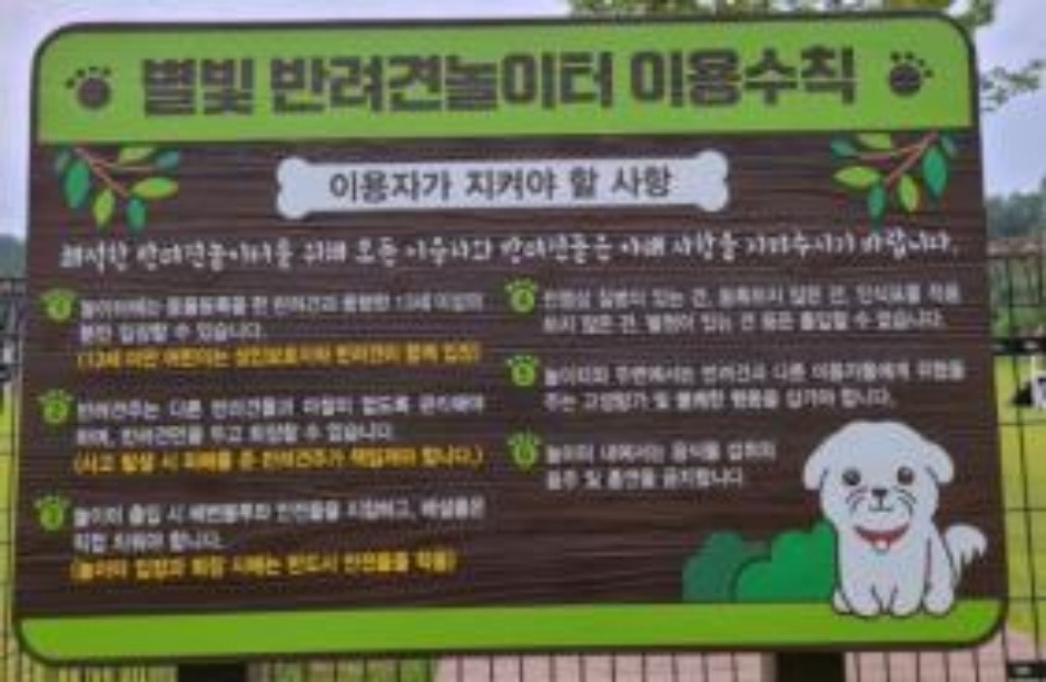 별빛 반려견놀이터 여행 추천 - 로드트립