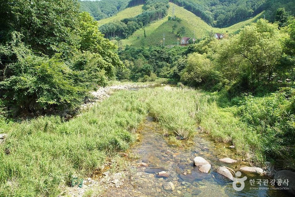 지암계곡 여행 추천 - 로드트립