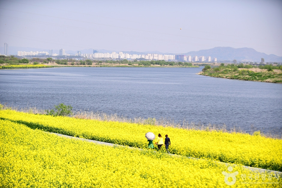 영산강둔치체육공원 여행 추천 - 로드트립