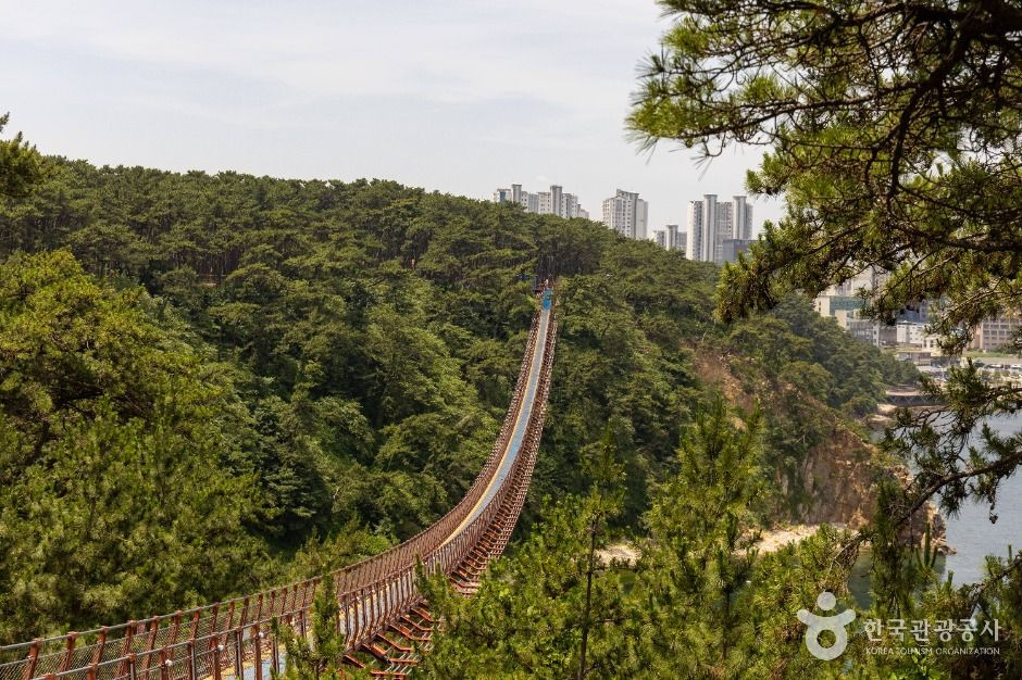 대왕암공원 출렁다리 여행 추천 - 로드트립