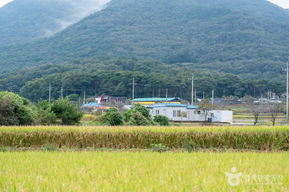 서산 회포마을 여행 추천 - 로드트립