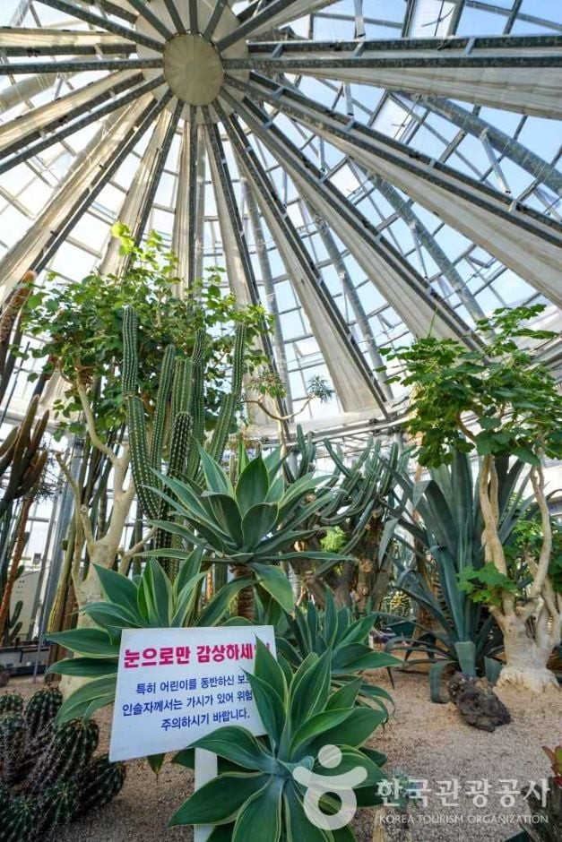 선인장다육식물연구소(구 선인장연구소) 여행 추천 - 로드트립