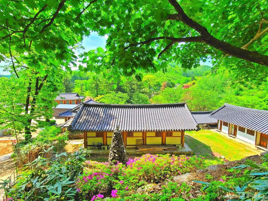 묘적사 여행 추천 - 로드트립