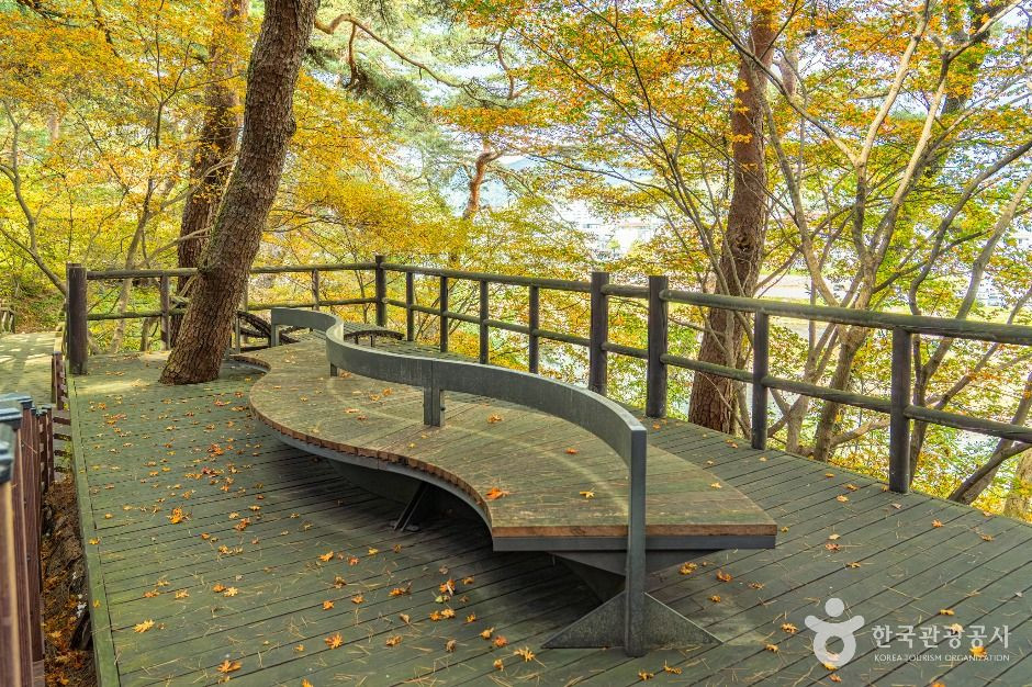 평창 남산 둘레길 여행 추천 - 로드트립