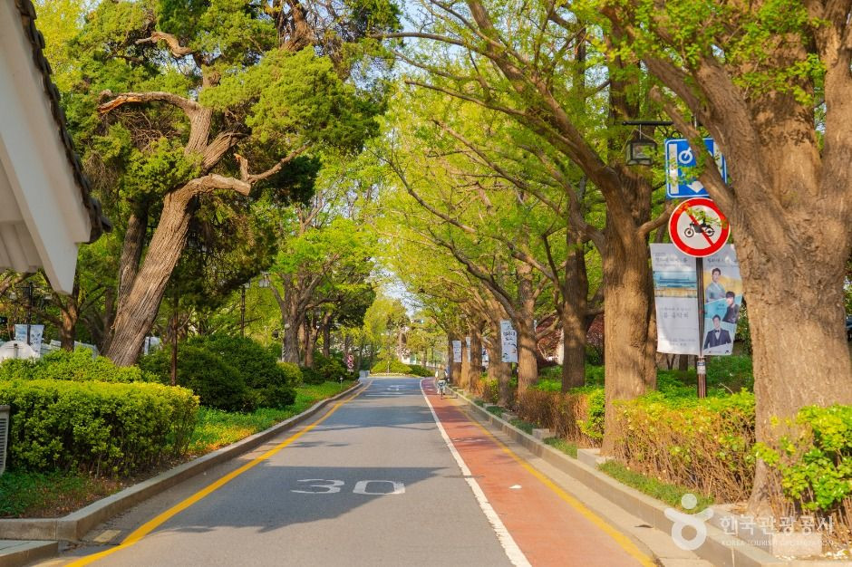 청와대 앞길 여행 추천 - 로드트립