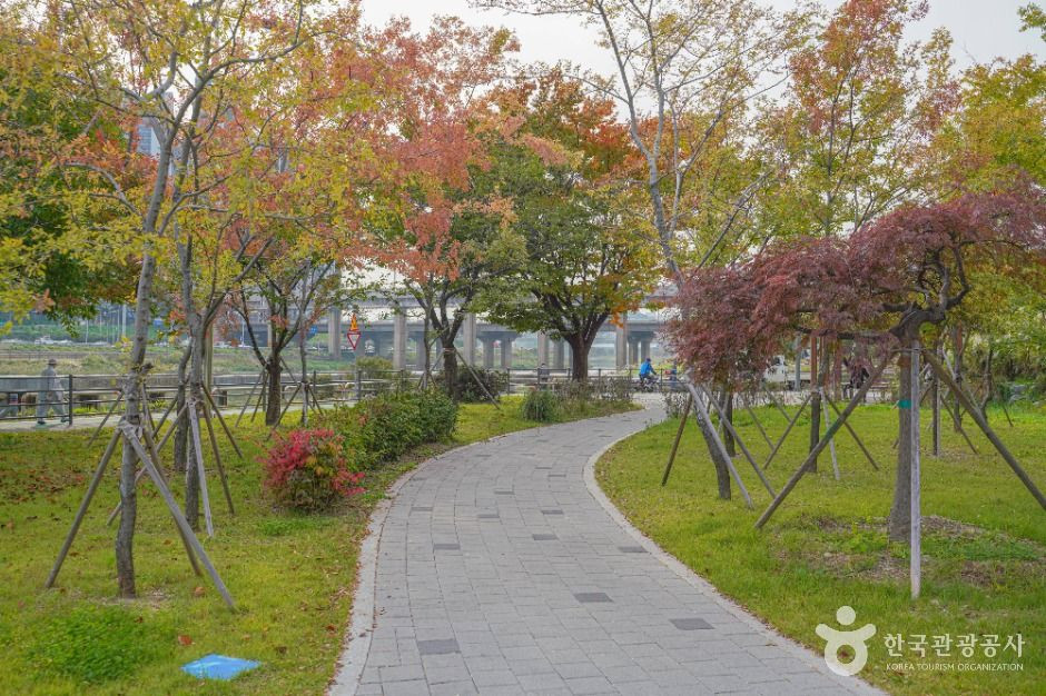 살곶이체육공원 여행 추천 - 로드트립