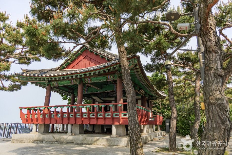 효사정 여행 추천 - 로드트립
