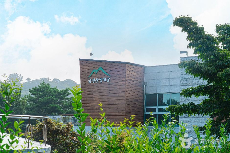금성산생태숲 여행 추천 - 로드트립