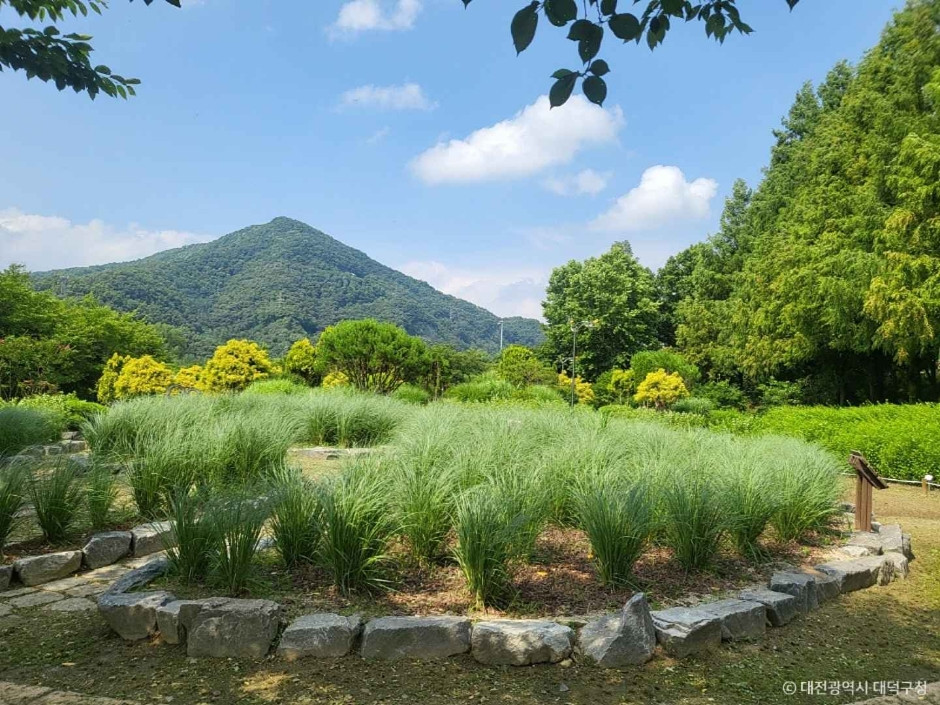 금강로하스 대청공원 (암석식물원) 여행 추천 - 로드트립