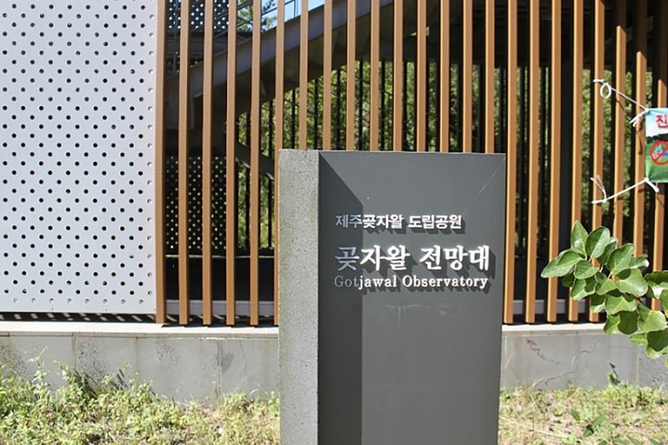 제주곶자왈도립공원 여행 추천 - 로드트립