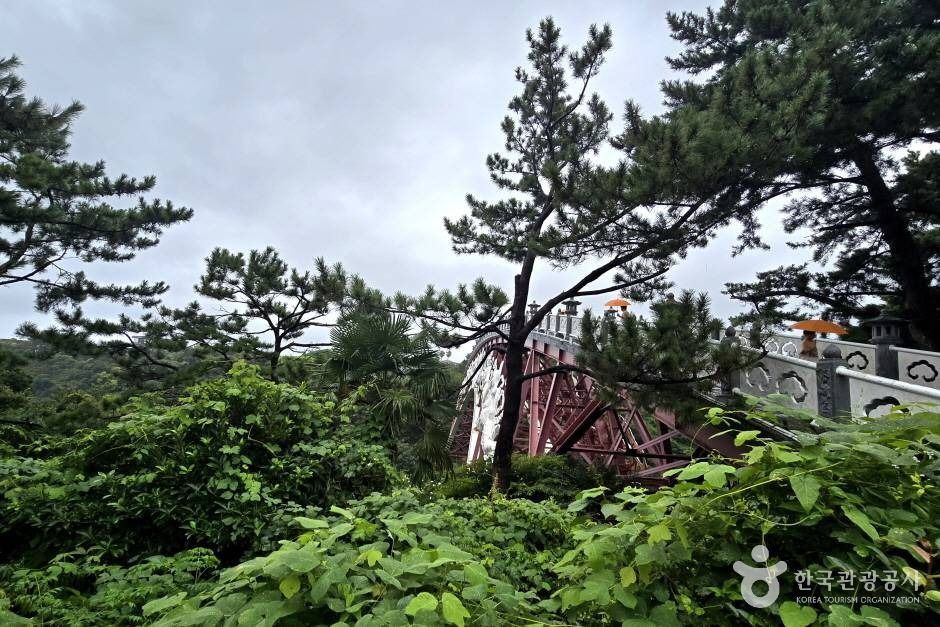 선임교 여행 추천 - 로드트립
