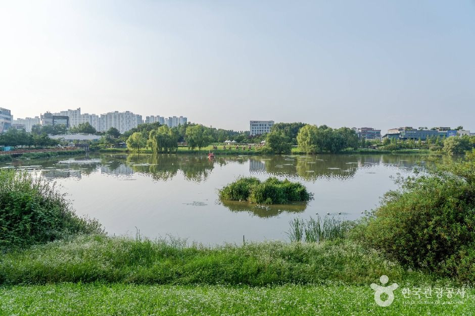 배다리지 여행 추천 - 로드트립