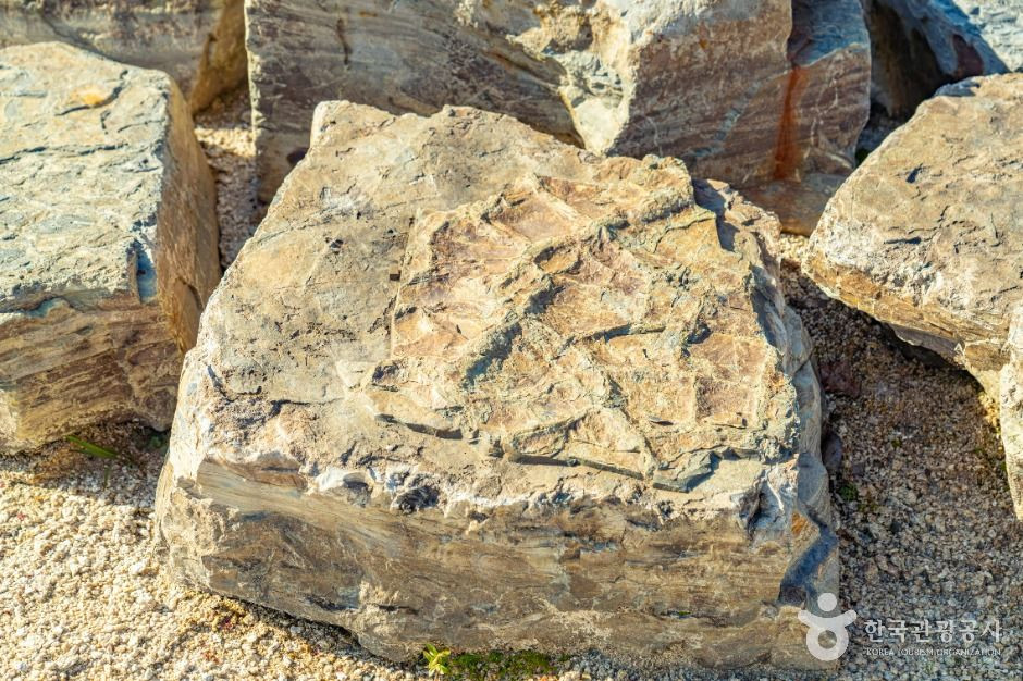 서유리 공룡화석지 (무등산권 국가지질공원) 여행 추천 - 로드트립