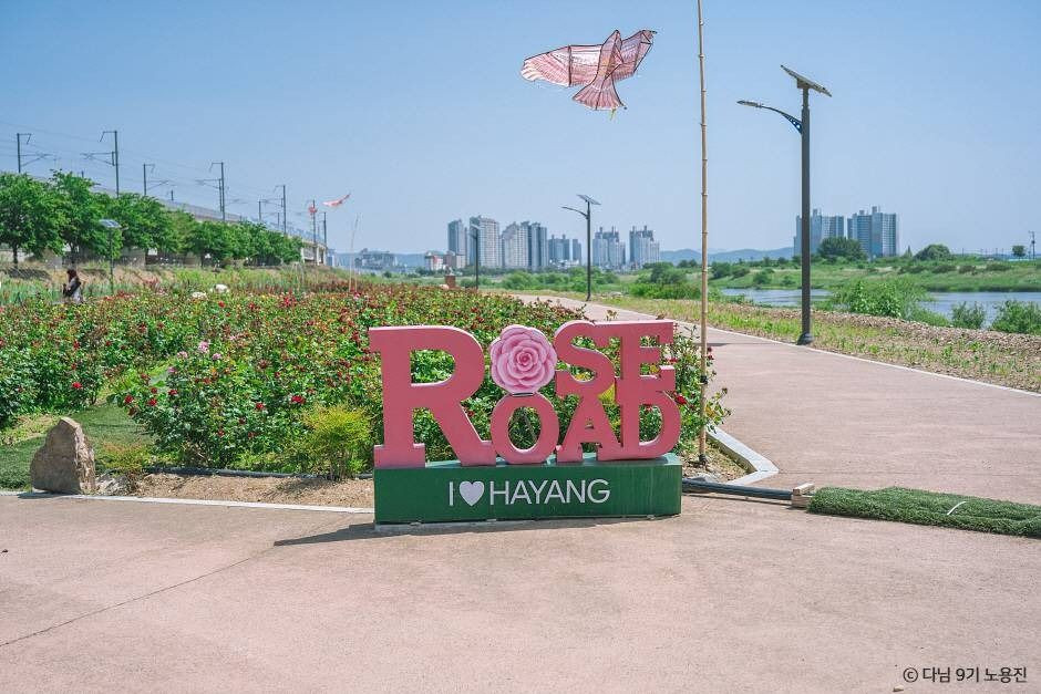 경산 하양경관농업단지 여행 추천 - 로드트립