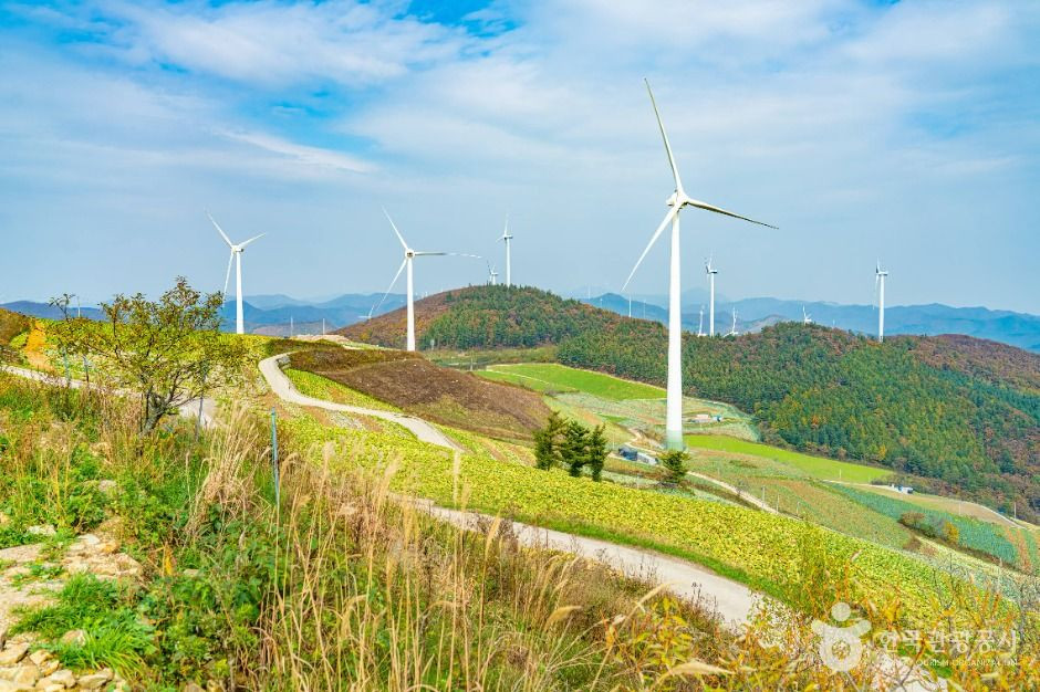 매봉산풍력발전단지(바람의 언덕) 여행 추천 - 로드트립