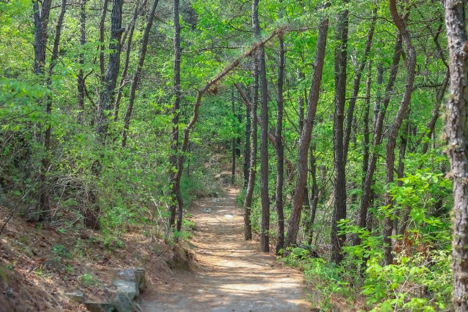 [서울둘레길 12코스] 호암산코스 여행 추천 - 로드트립