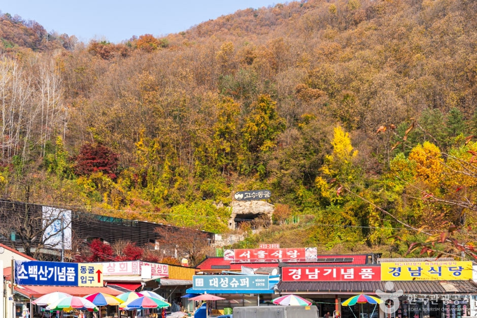 단양 관광특구 여행 추천 - 로드트립