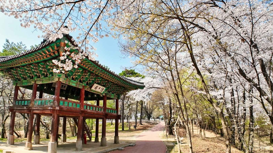 낙화암 여행 추천 - 로드트립