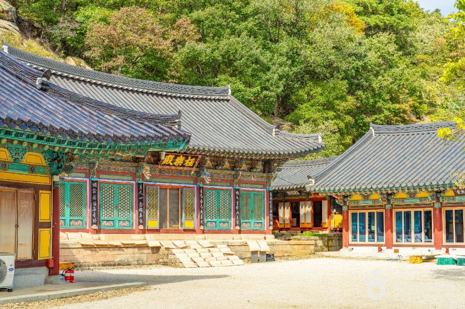 수정암(충북) 여행 추천 - 로드트립
