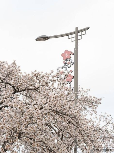 경포생태저류지 여행 추천 - 로드트립