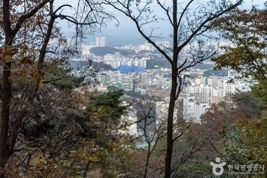 배부른산 여행 추천 - 로드트립