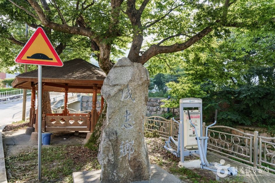 춘양목송이 정보화마을 여행 추천 - 로드트립