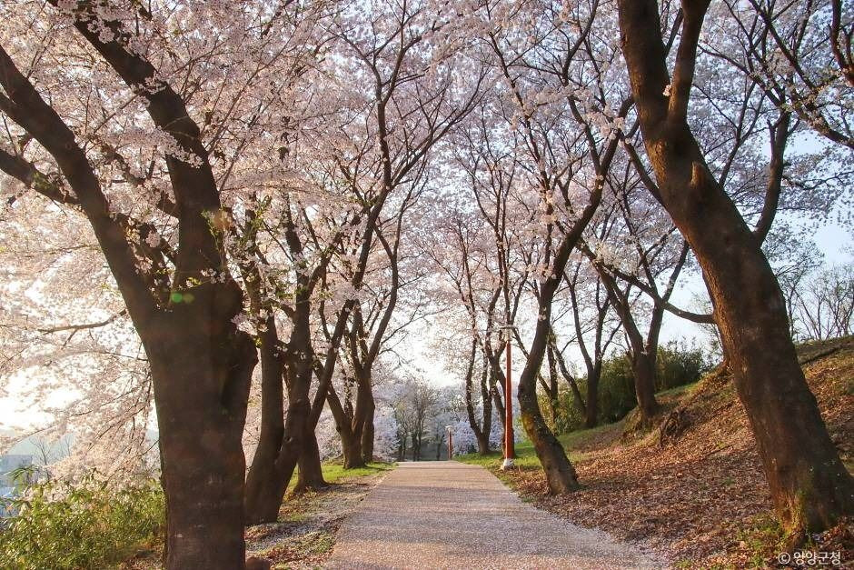 현산공원 여행 추천 - 로드트립
