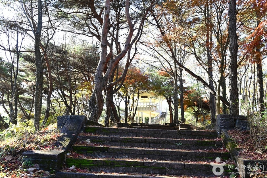대아저수지(대아호) 여행 추천 - 로드트립