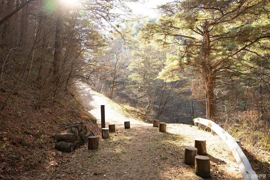 삼척 준경묘 여행 추천 - 로드트립