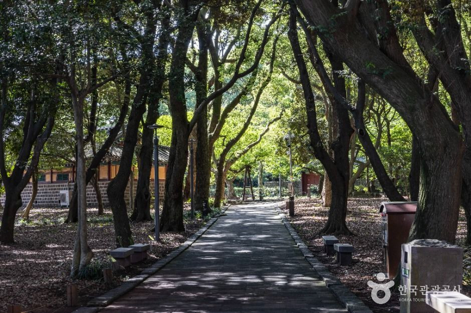 제주 삼성혈 여행 추천 - 로드트립