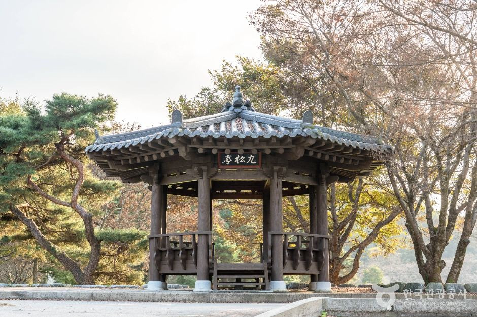 구송정 유원지 여행 추천 - 로드트립