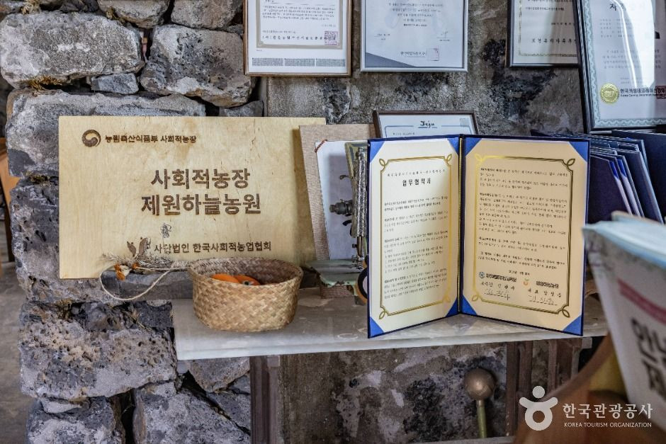 제원하늘농원 여행 추천 - 로드트립
