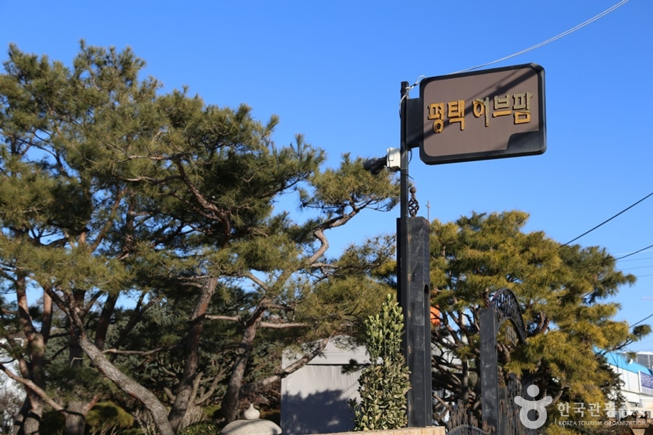 평택허브팜 여행 추천 - 로드트립