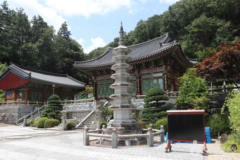학림사(세종) 여행 추천 - 로드트립