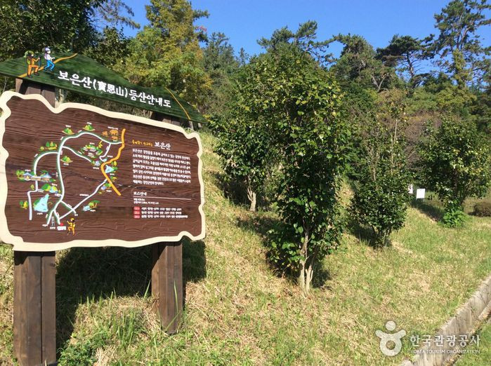 보은산 여행 추천 - 로드트립