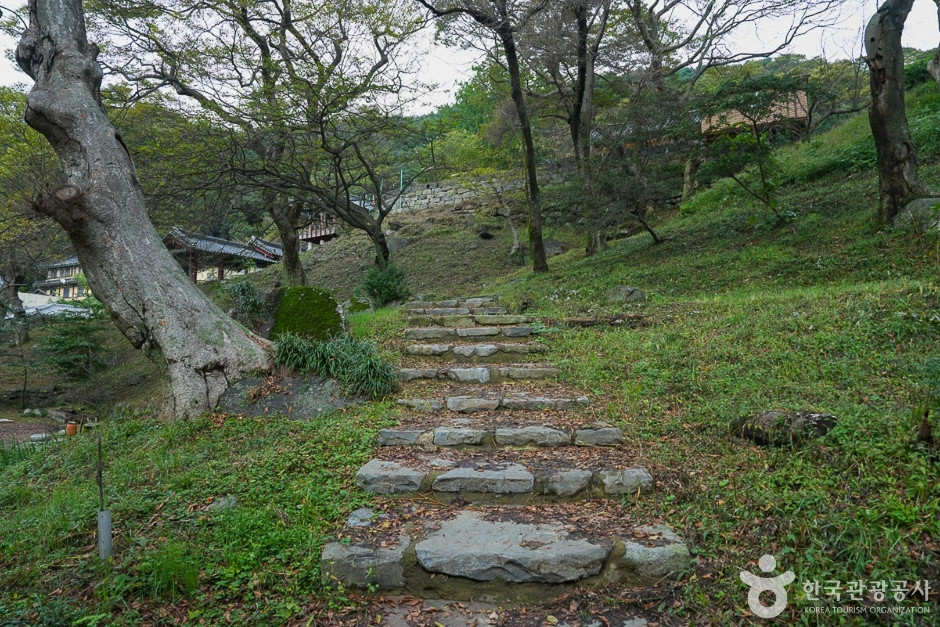 도비 마루길 여행 추천 - 로드트립