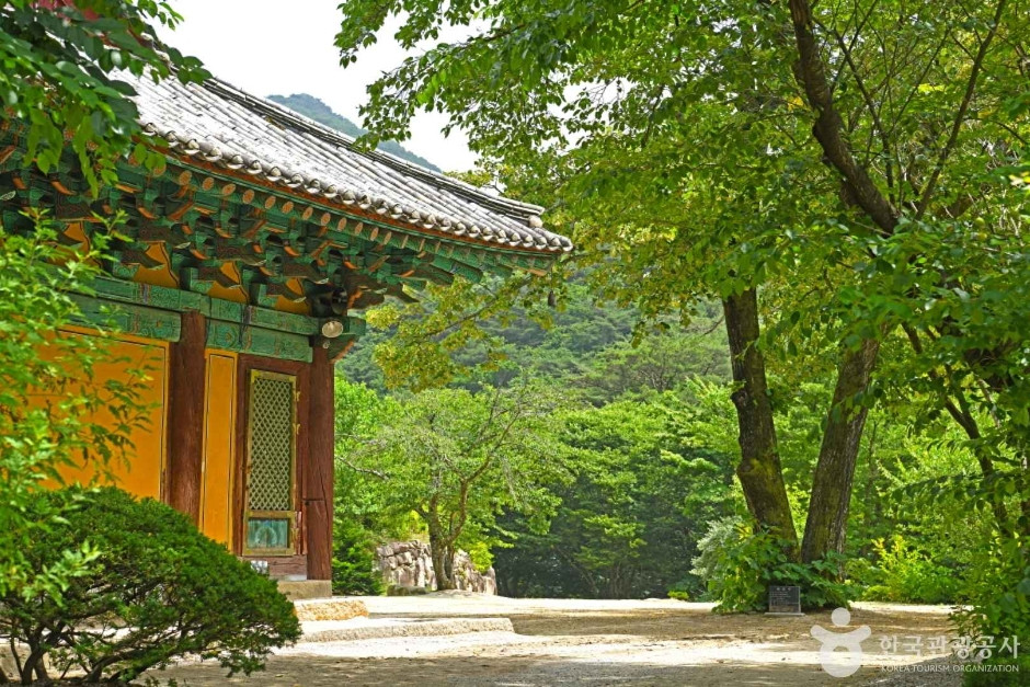 각연사(괴산) 여행 추천 - 로드트립