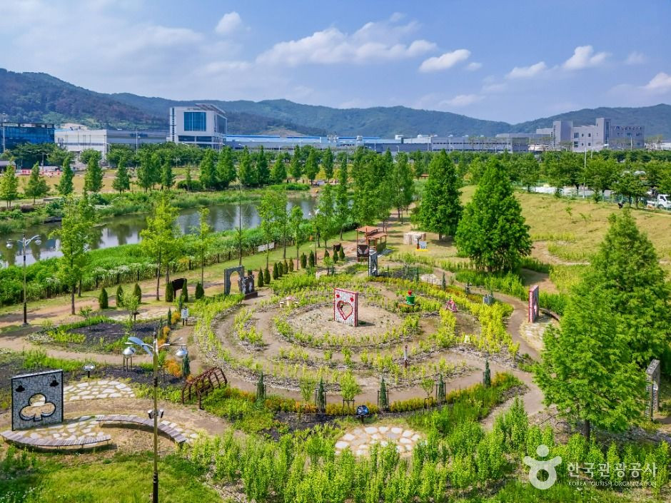 대구 세천늪테마정원 여행 추천 - 로드트립