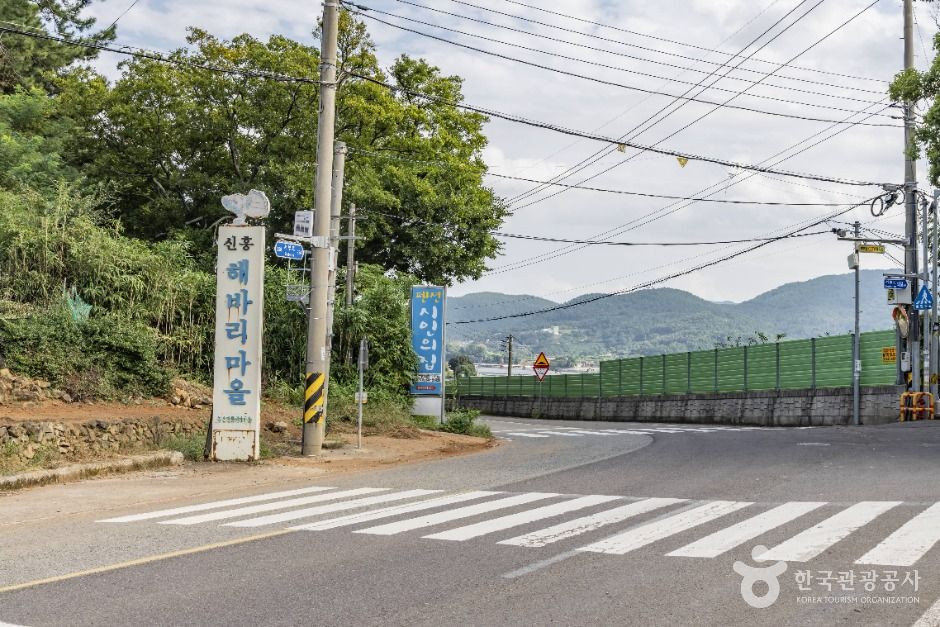 신흥해바리마을 여행 추천 - 로드트립