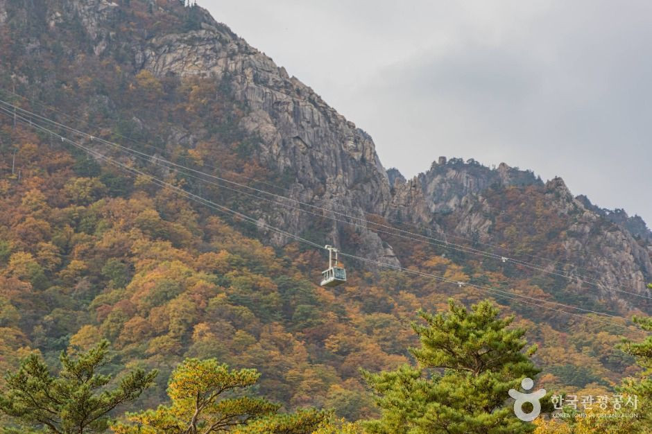 설악산 케이블카 여행 추천 - 로드트립