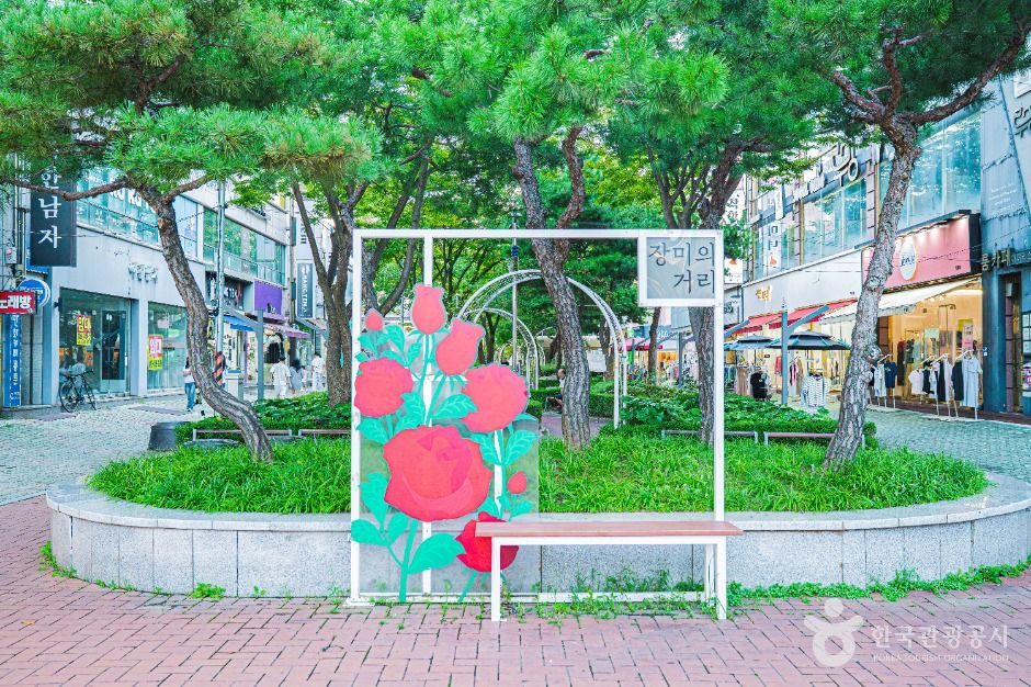 장미의거리 여행 추천 - 로드트립